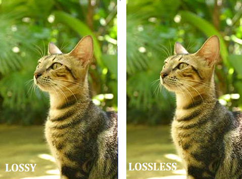 Lossless Image Compression